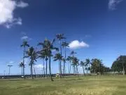 coconut(火.金曜日のみ発送)の画像