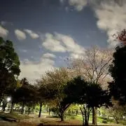 ふ