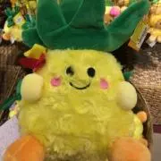 ぽちゃくま(プロフィール確認願います)