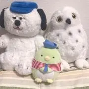 もこなの画像