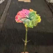 レイアップガールの画像
