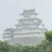 瀬戸月の画像