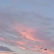 こも