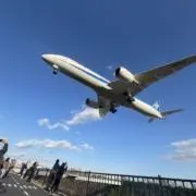 カイの画像