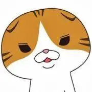 mikkeの画像