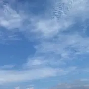 つっちー