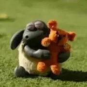 SUMIKAの画像