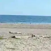 Rの画像