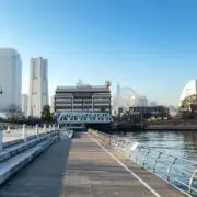 青いシャツの画像