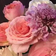 mi