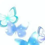 ねねの画像