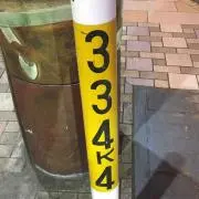 ツラゲの画像