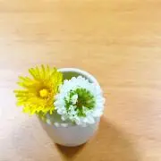 ちい（まとめ売り対応します。）の画像