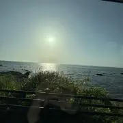 なっちょの画像