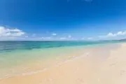 tottoの画像
