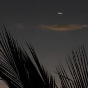 mの画像