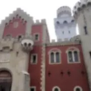 ピンクパンサー