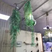 vvv