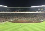 アズミの画像