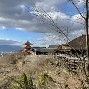 のあの画像