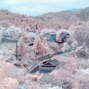 ちゃま