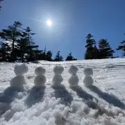 でんの画像
