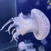 moco.の画像