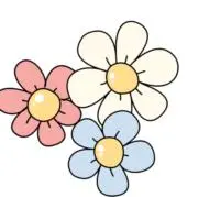 シャンドンの画像