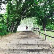 yone3129の画像