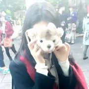 しゃーろきあん