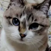 TaMaの画像