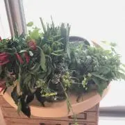 yummyの画像