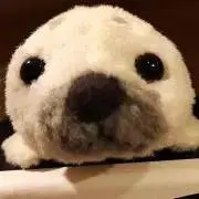 ぴー