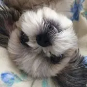 taitaiの画像
