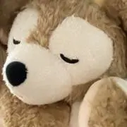 MAFFYの画像