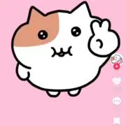 ぴゃの画像