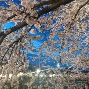 JAMJAMの画像