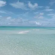 M⭐︎即購入OKです！の画像