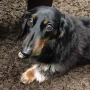 るく