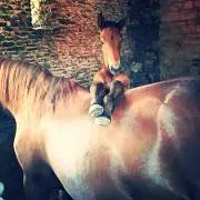 shadyの画像