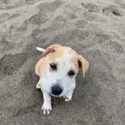 断捨離中の画像