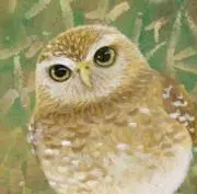 アナホリ