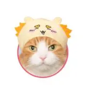 プロフ必読お願いします☆HiLo☆の画像