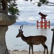 naminorider