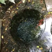 ユウの画像