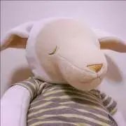 ねもたんの画像