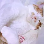 かおり