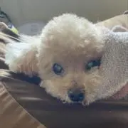 mmyPp 断捨離中の画像
