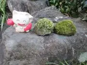 テ*ー様 ドイツ製 マウテ グランドファザークロック 振り子付き - メルカリ