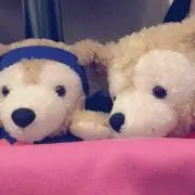 みちゃえるの画像